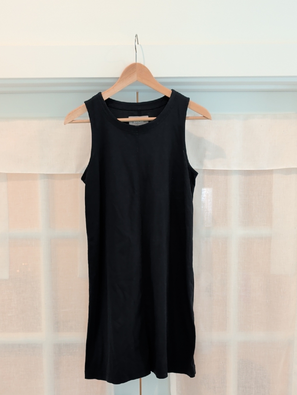 Everlane Black Sleeveless Mini Dress
